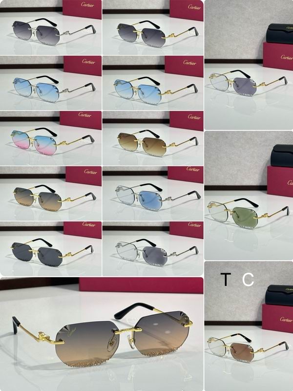 Cartier CT820059O 58 18-135 c10