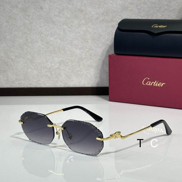 Cartier CT82005O 60 15-135 c02