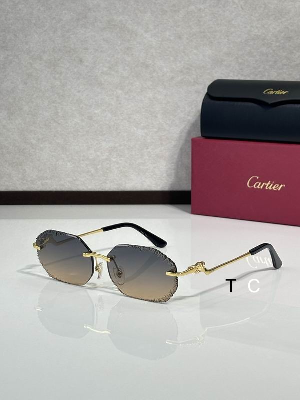 Cartier CT82005O 60 15-135 c04