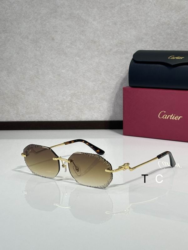 Cartier CT82005O 60 15-135 c06