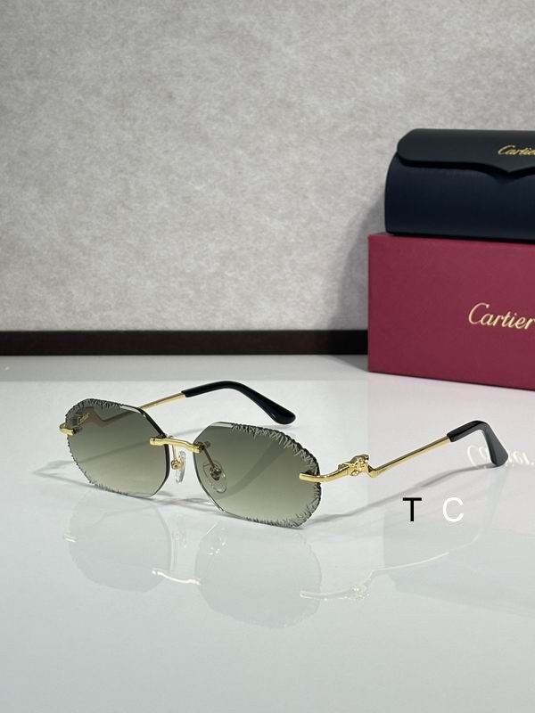 Cartier CT82005O 60 15-135 c08