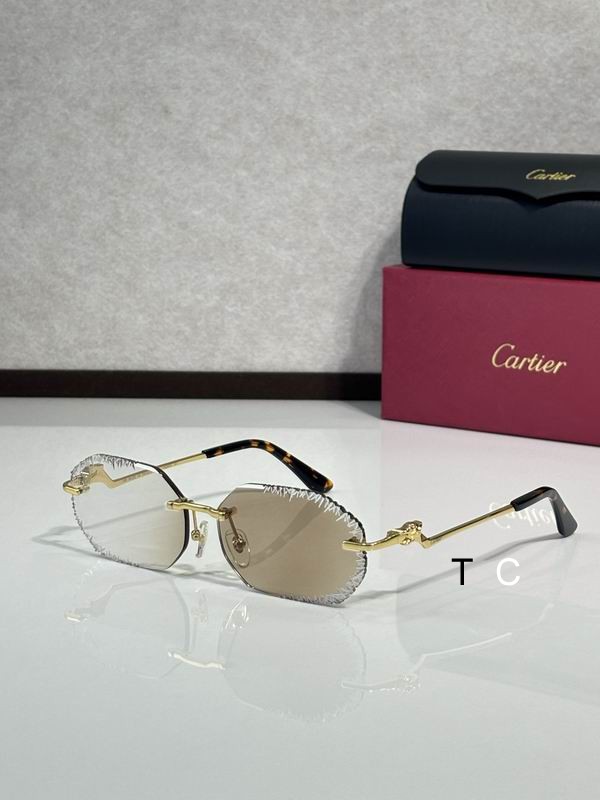 Cartier CT82005O 60 15-135 c09