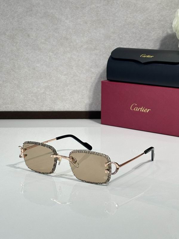 Cartier Glasses smr (1019)