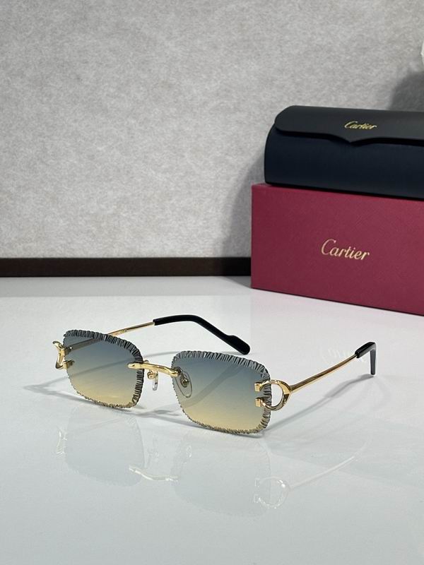 Cartier Glasses smr (1020)