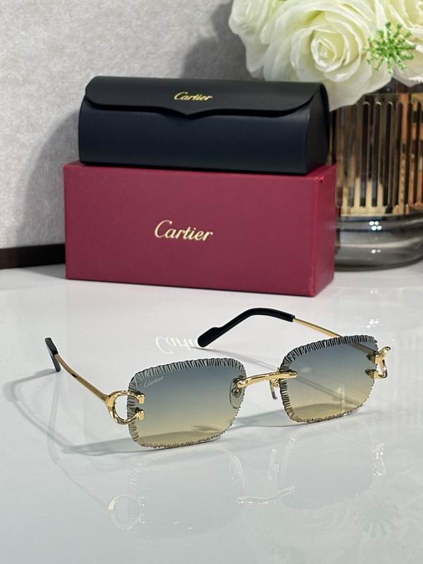 Cartier Glasses smr (1021)