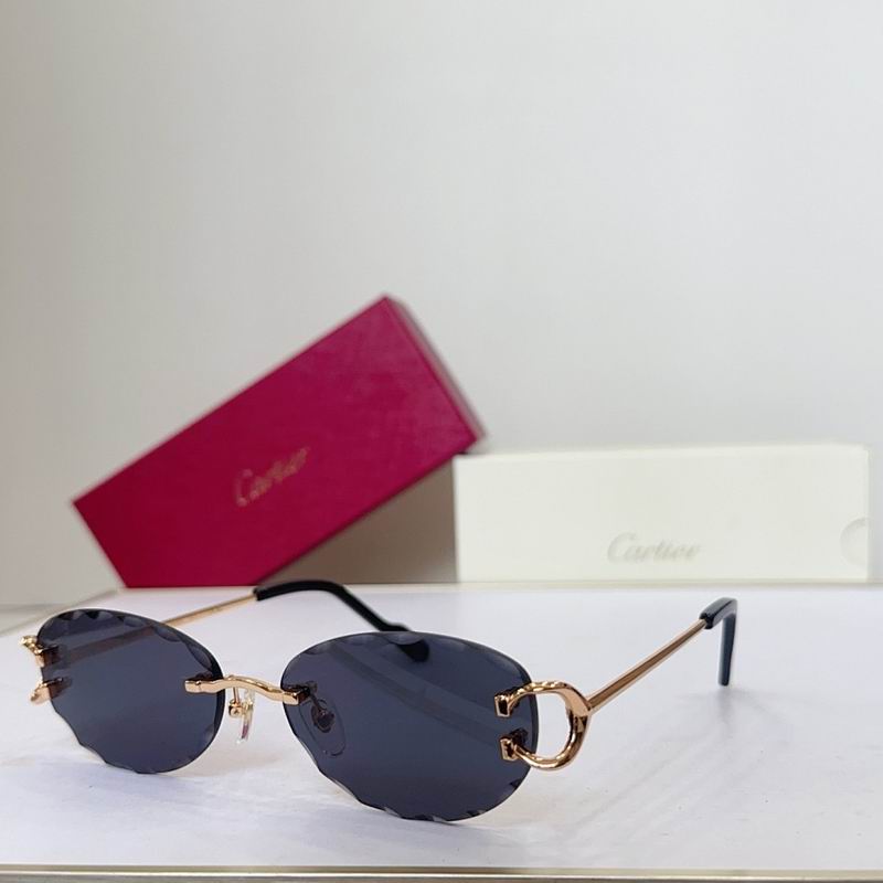 Cartier Glasses smr (107)