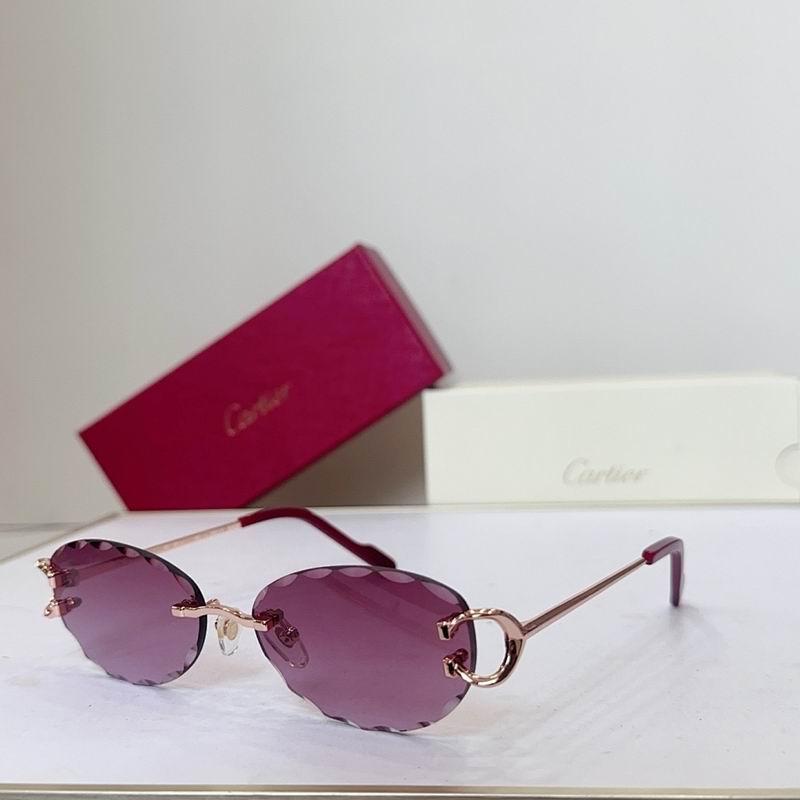 Cartier Glasses smr (109)