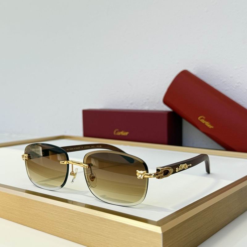 Cartier Glasses smr (1091)