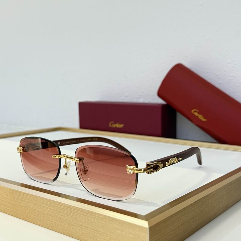 Cartier Glasses smr (1093)