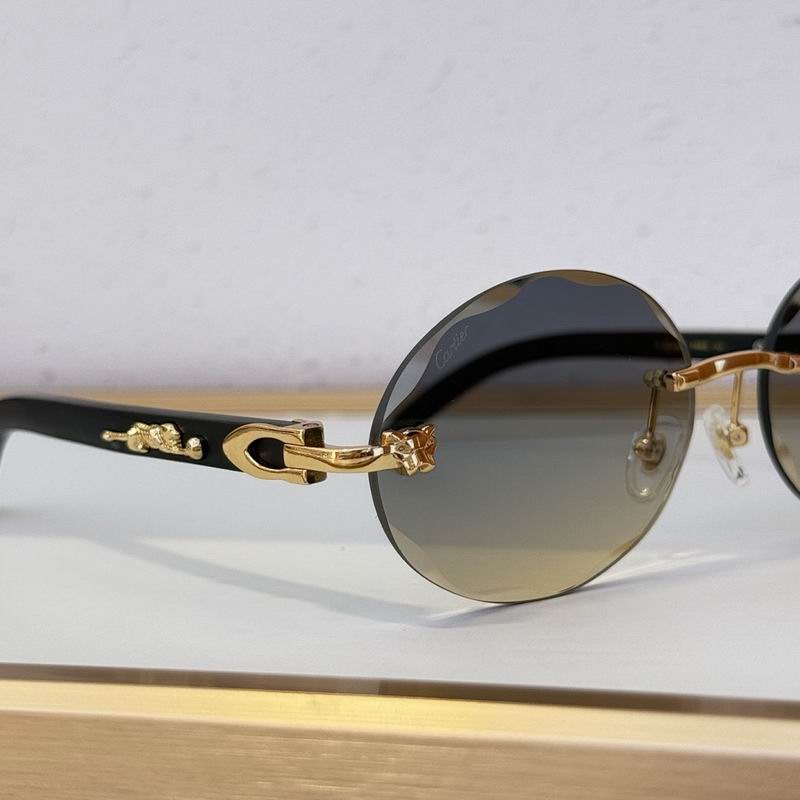Cartier Glasses smr (1103)