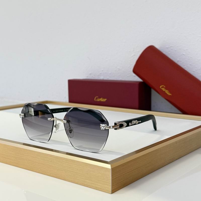 Cartier Glasses smr (1108)