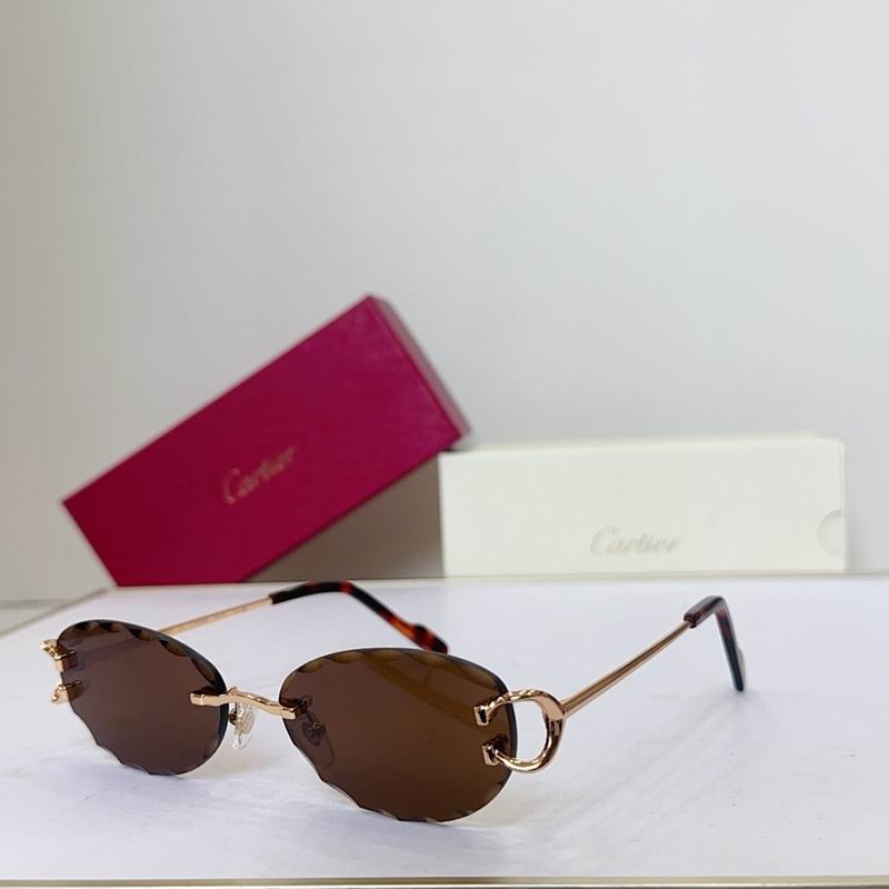 Cartier Glasses smr (111)