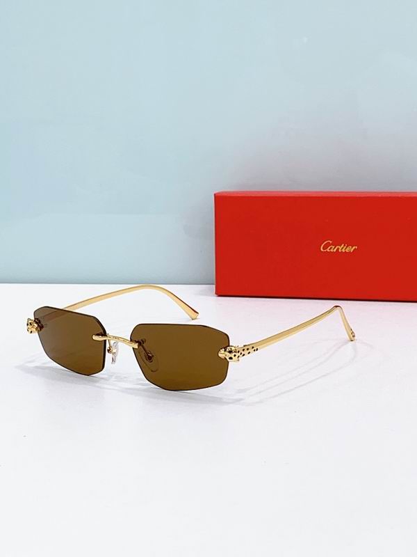 Cartier Glasses smr (1144)
