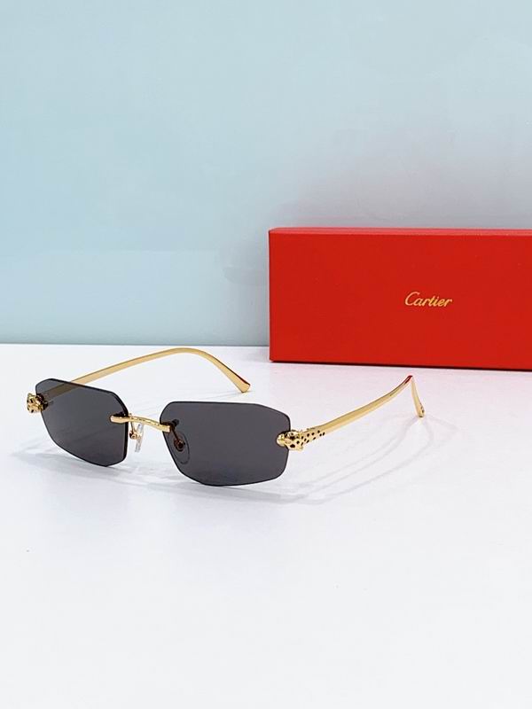 Cartier Glasses smr (1149)