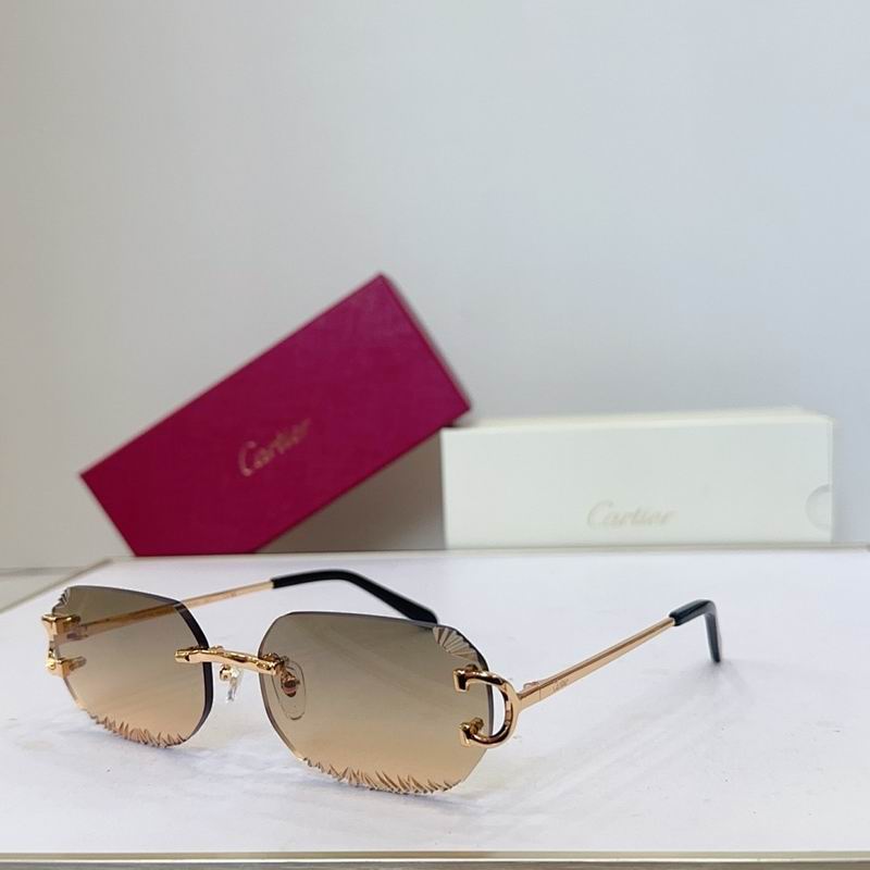 Cartier Glasses smr (119)