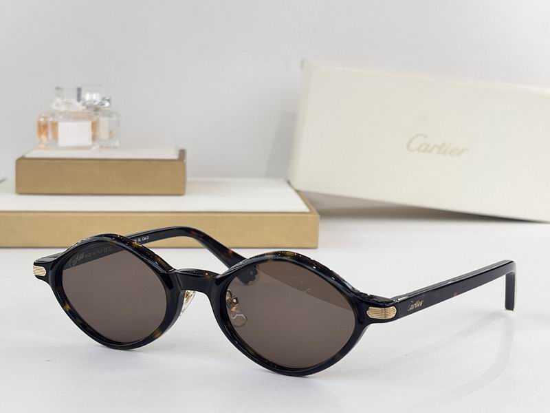 Cartier Glasses smr (12)