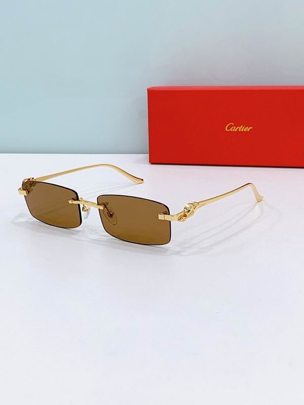 Cartier Glasses smr (1223)