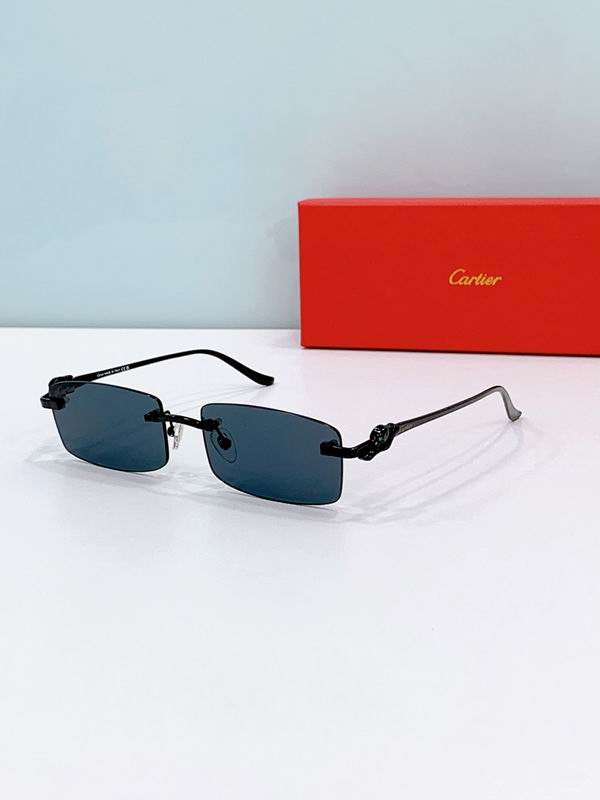 Cartier Glasses smr (1224)