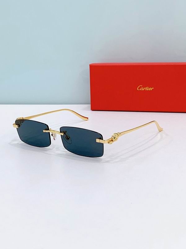 Cartier Glasses smr (1225)