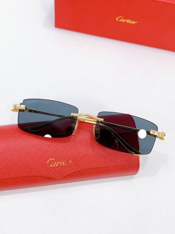 Cartier Glasses smr (1230)