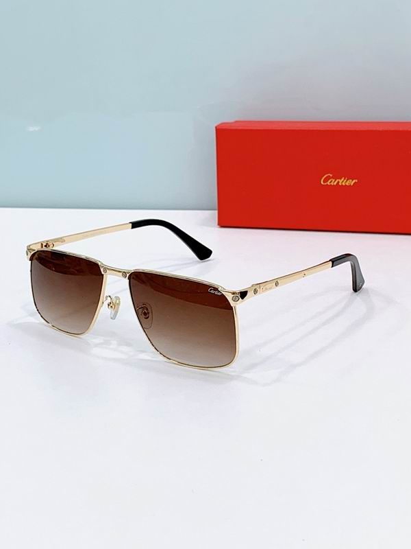 Cartier Glasses smr (1250)