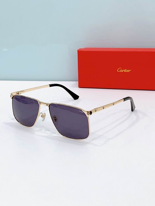 Cartier Glasses smr (1251)