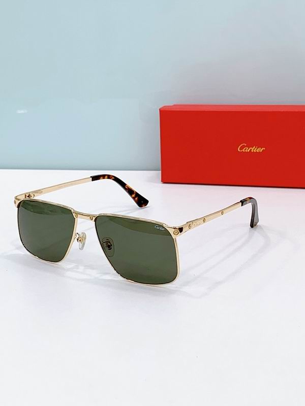Cartier Glasses smr (1254)