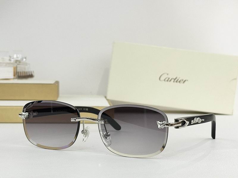 Cartier Glasses smr (1291)
