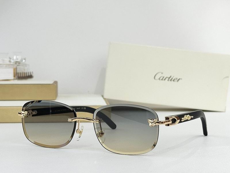 Cartier Glasses smr (1292)