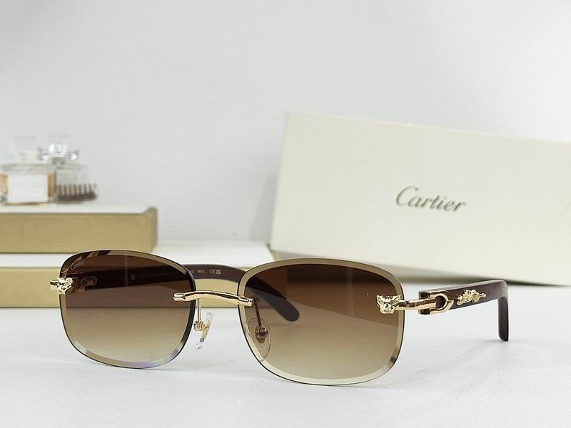 Cartier Glasses smr (1293)