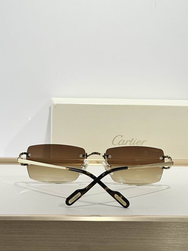 Cartier Glasses smr (1357)
