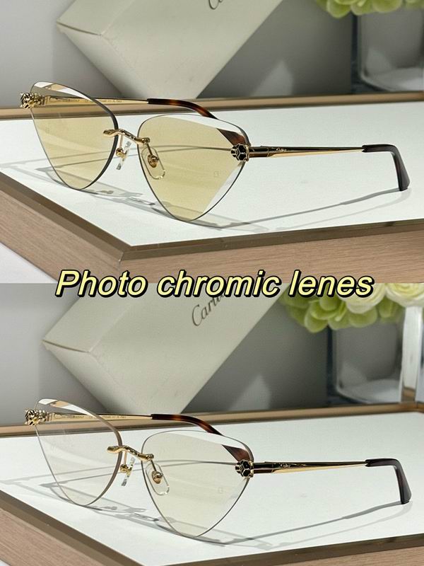 Cartier Glasses smr (1424)