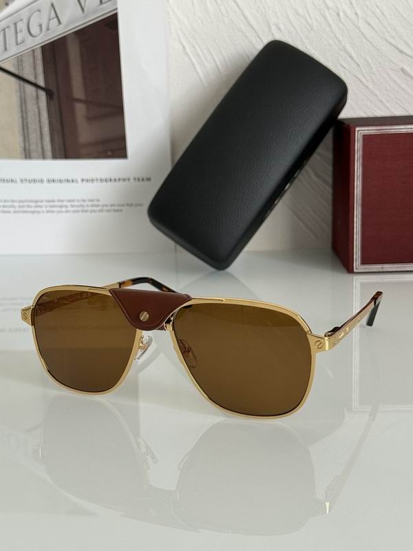 Cartier Glasses smr (1489)
