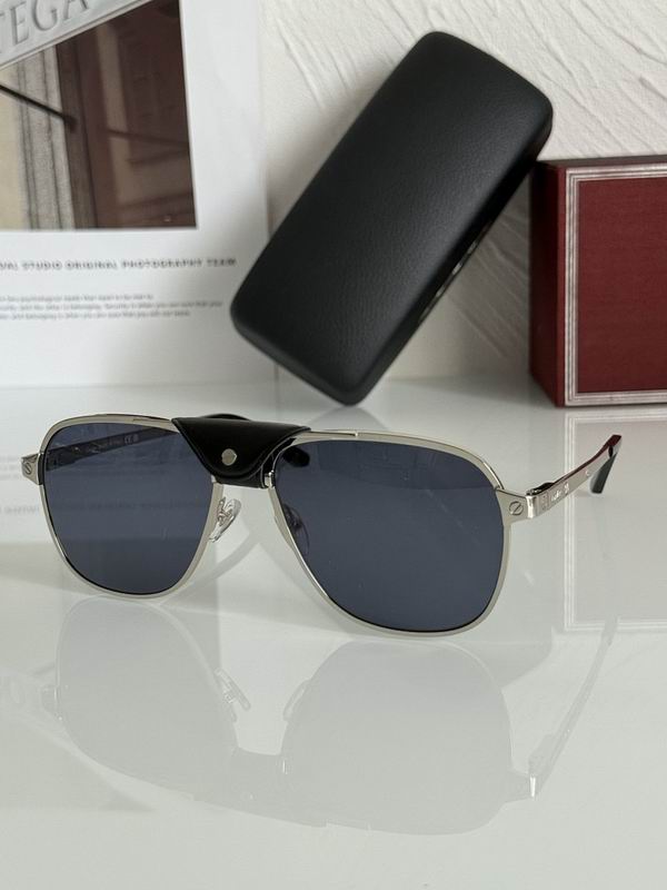 Cartier Glasses smr (1493)