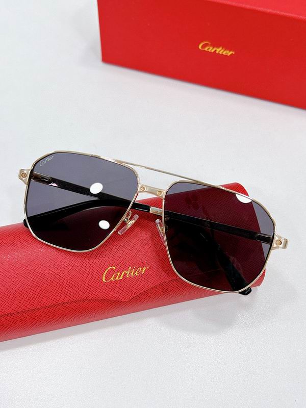 Cartier Glasses smr (1553)
