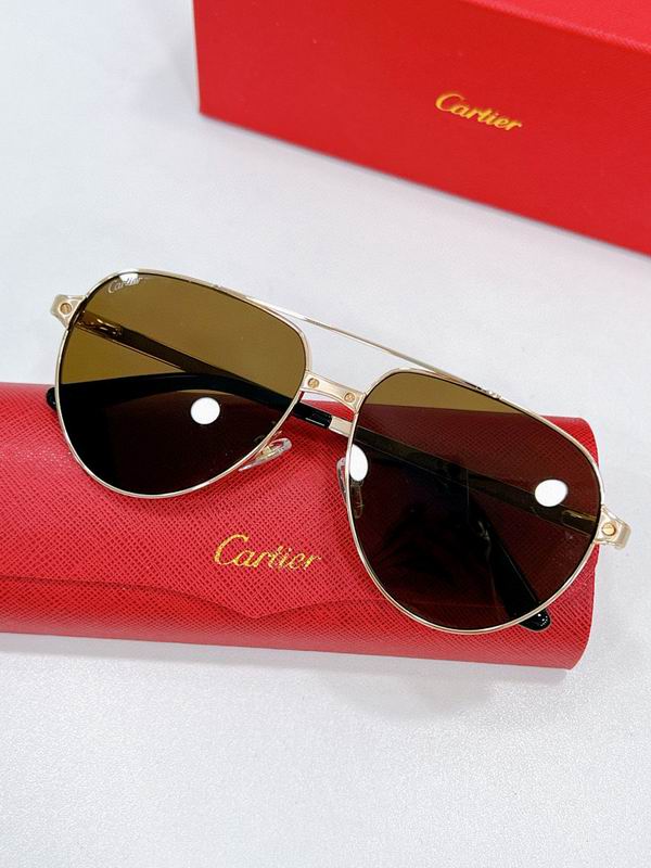 Cartier Glasses smr (1569)