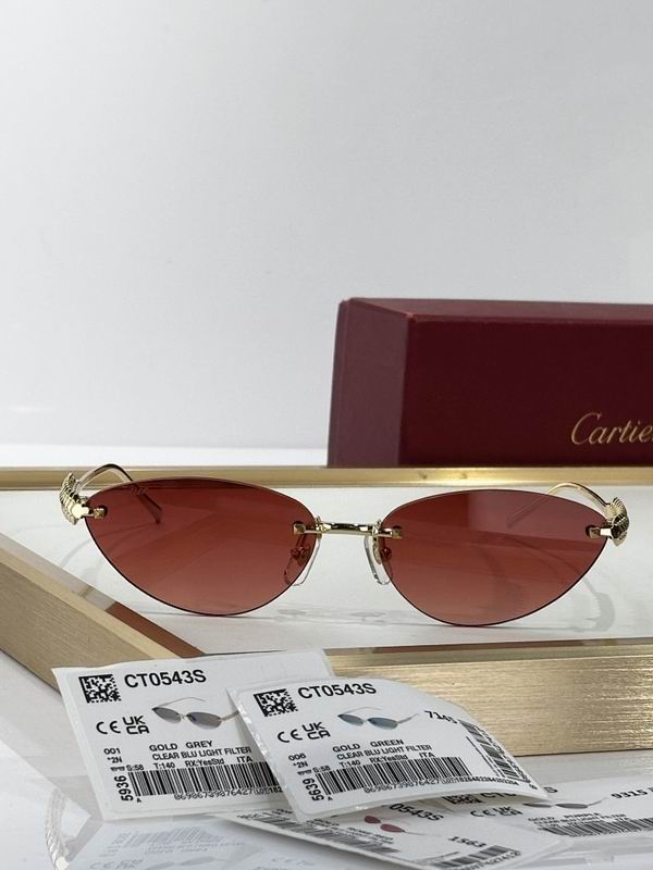 Cartier Glasses smr (1592)