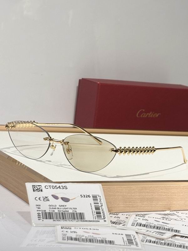 Cartier Glasses smr (1613)