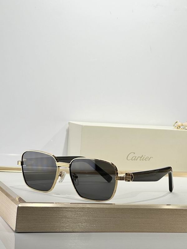 Cartier Glasses smr (1640)