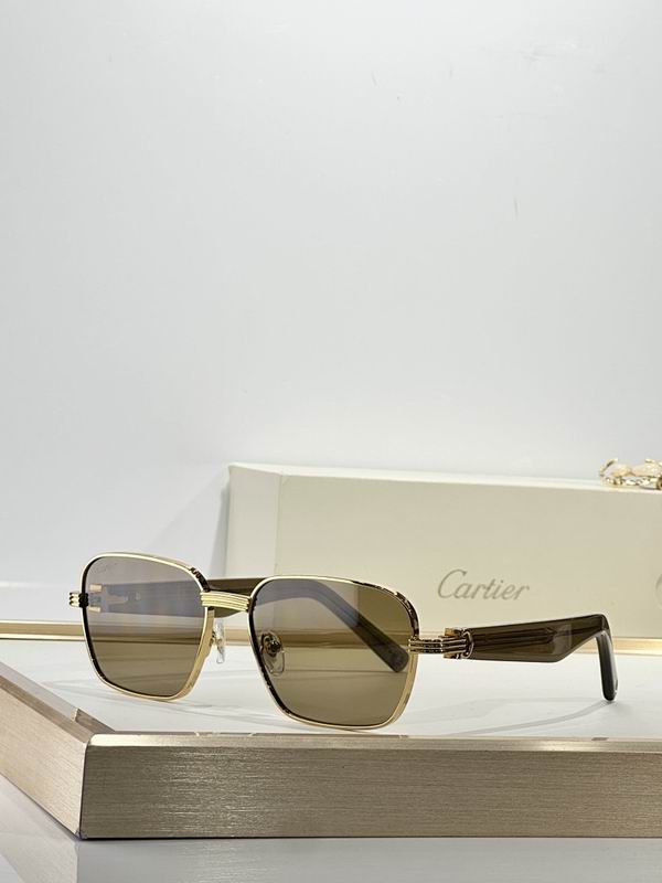 Cartier Glasses smr (1645)