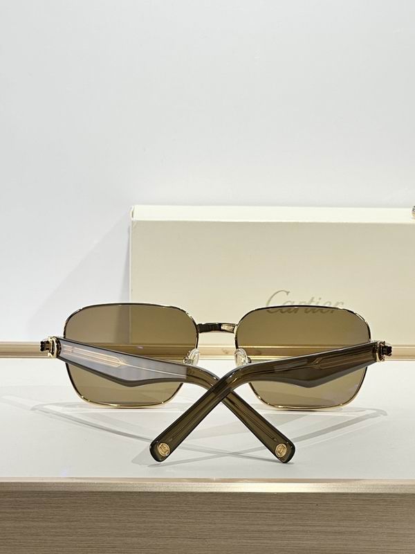 Cartier Glasses smr (1646)
