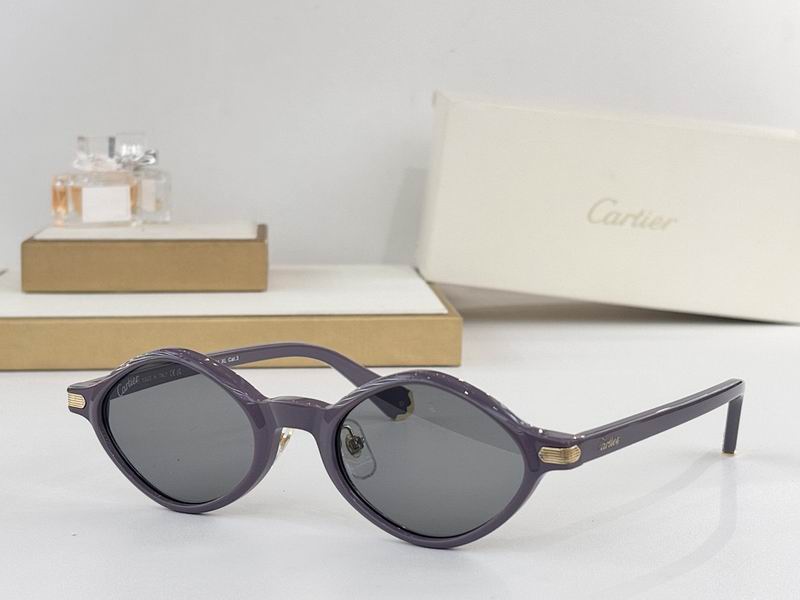 Cartier Glasses smr (17)