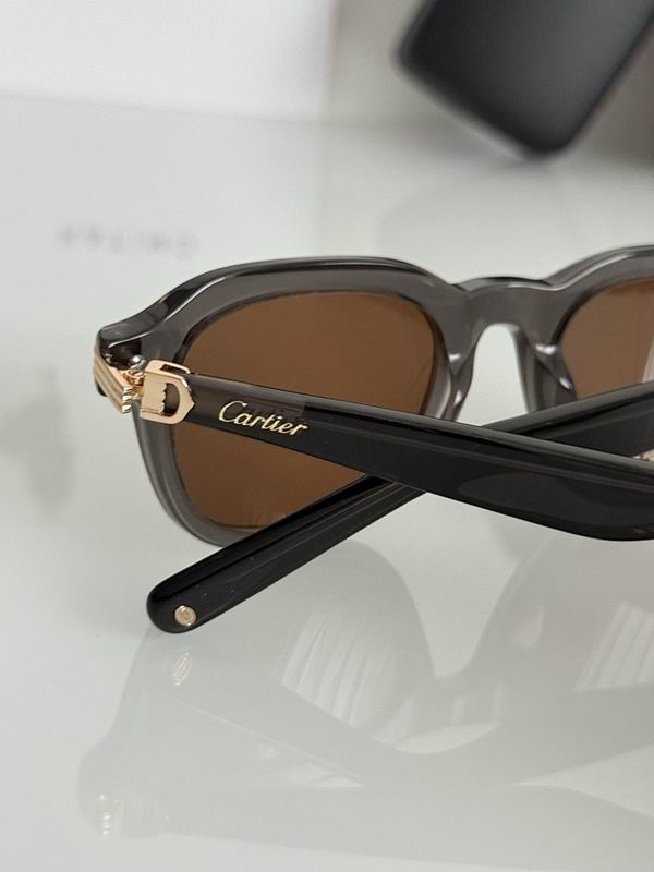 Cartier Glasses smr (1704)