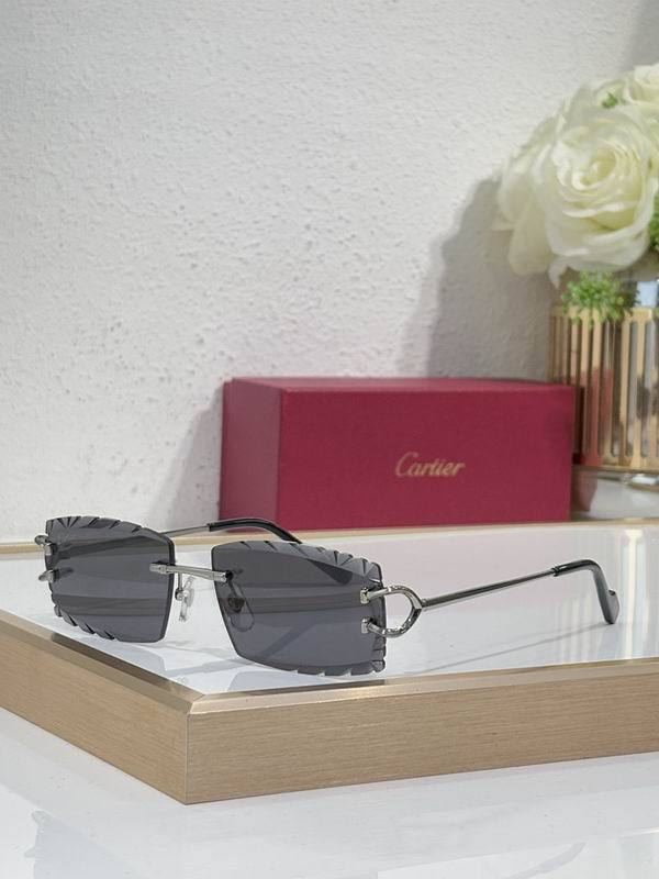 Cartier Glasses smr (1715)
