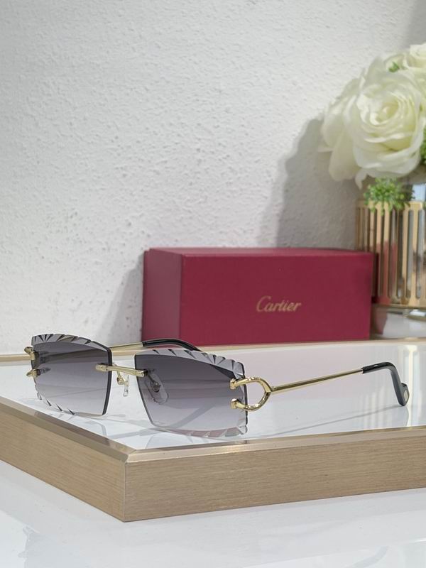 Cartier Glasses smr (1716)