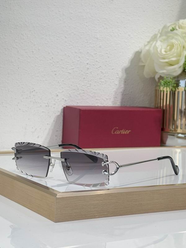 Cartier Glasses smr (1717)