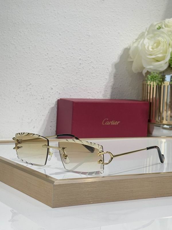 Cartier Glasses smr (1719)