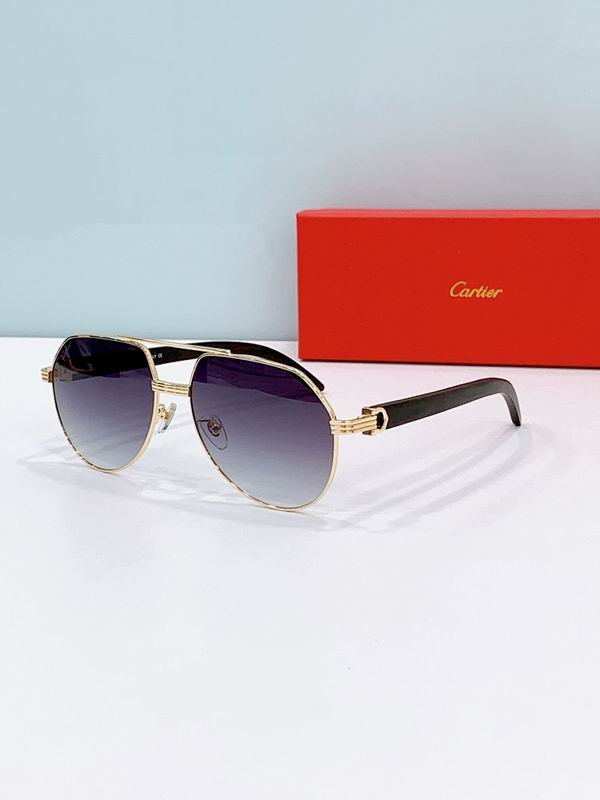 Cartier Glasses smr (1819)