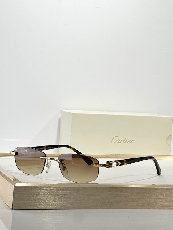 Cartier Glasses smr (1883)