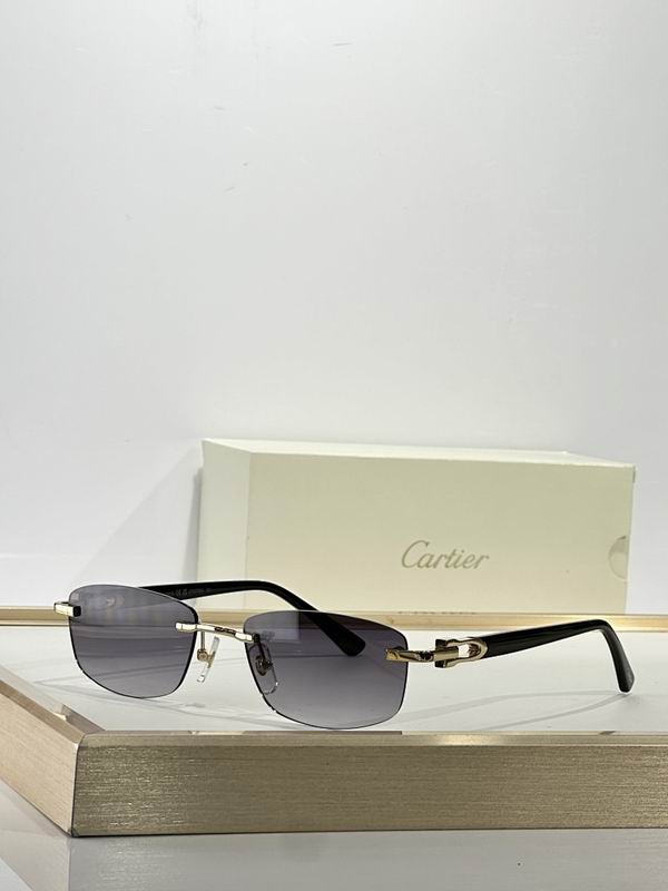 Cartier Glasses smr (1889)